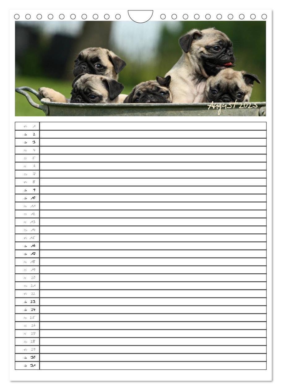 Bild: 9783457067796 | Der mopsige Familienplaner (Wandkalender 2025 DIN A4 hoch),...