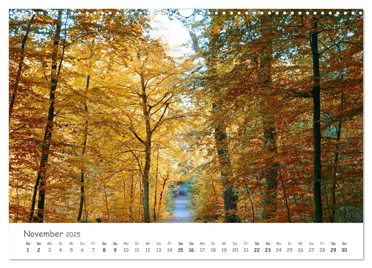 Bild: 9783435269891 | Wald - bezaubernde Wälder (Wandkalender 2025 DIN A3 quer), CALVENDO...