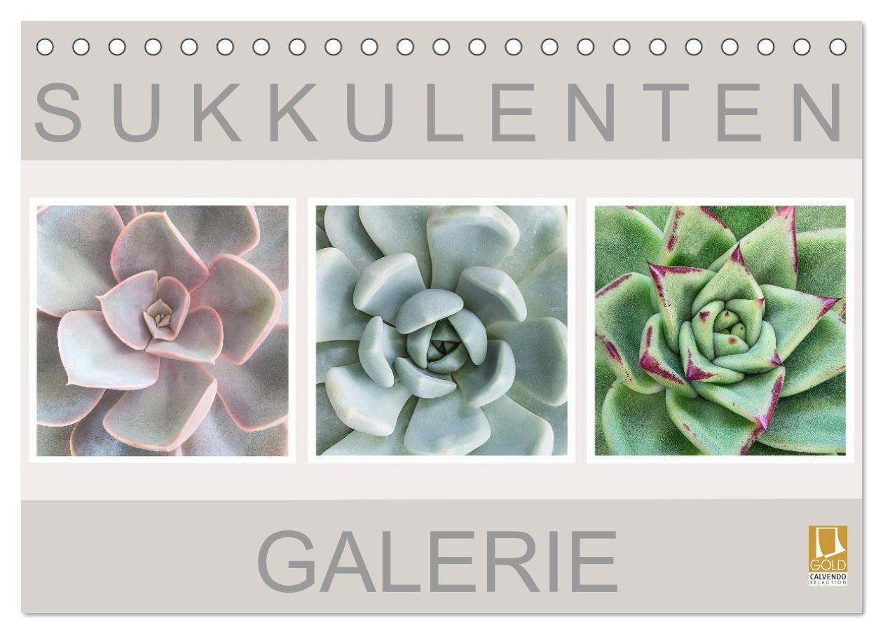 Cover: 9783435290574 | Sukkulenten Galerie (Tischkalender 2025 DIN A5 quer), CALVENDO...