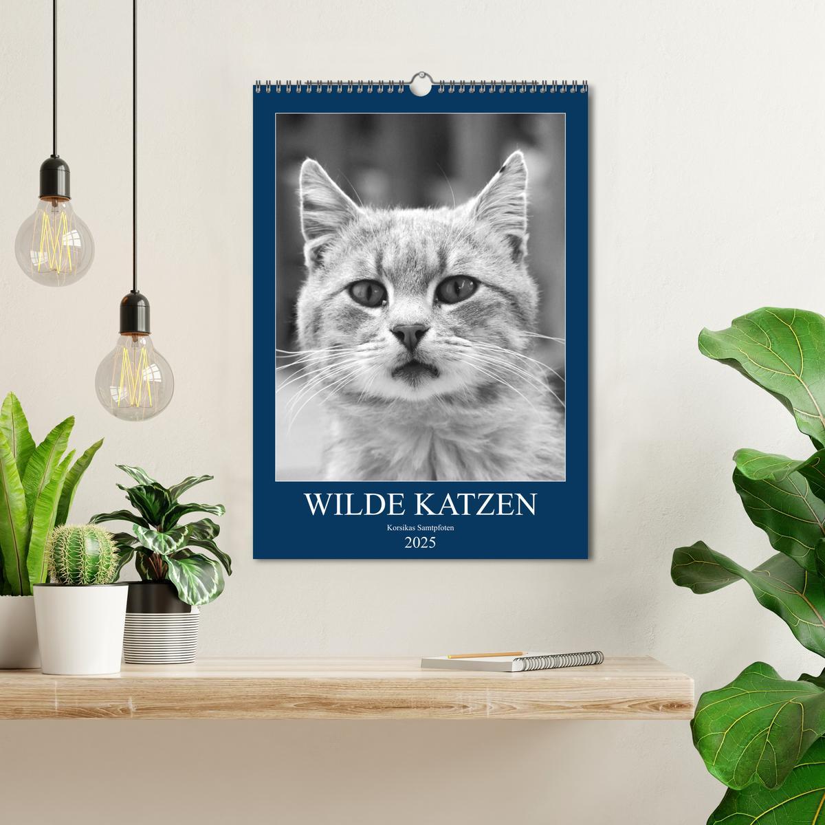 Bild: 9783435964864 | Wilde Katzen - Korsikas Samtpfoten (Wandkalender 2025 DIN A3 hoch),...