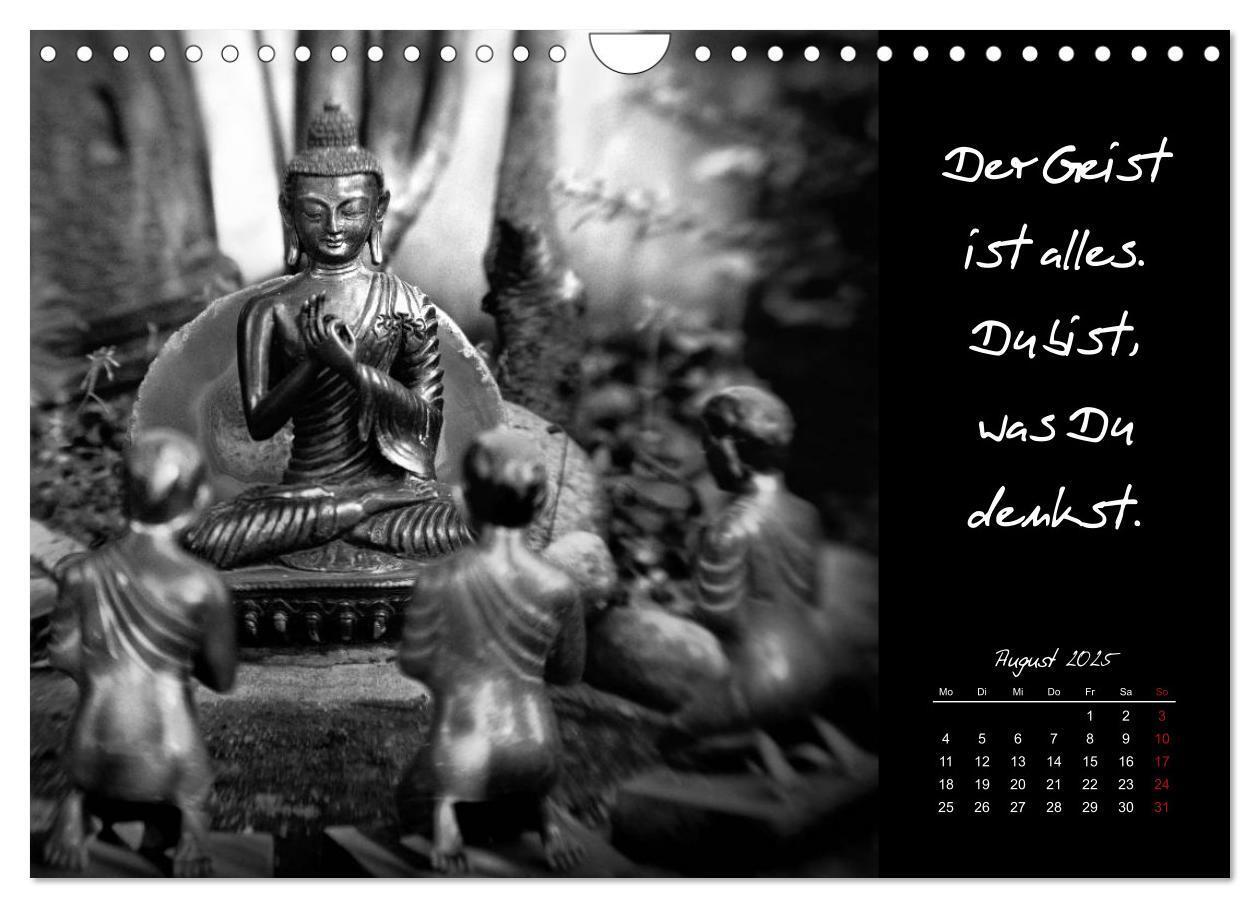 Bild: 9783435629305 | Worte des Buddha 2025 (Wandkalender 2025 DIN A4 quer), CALVENDO...