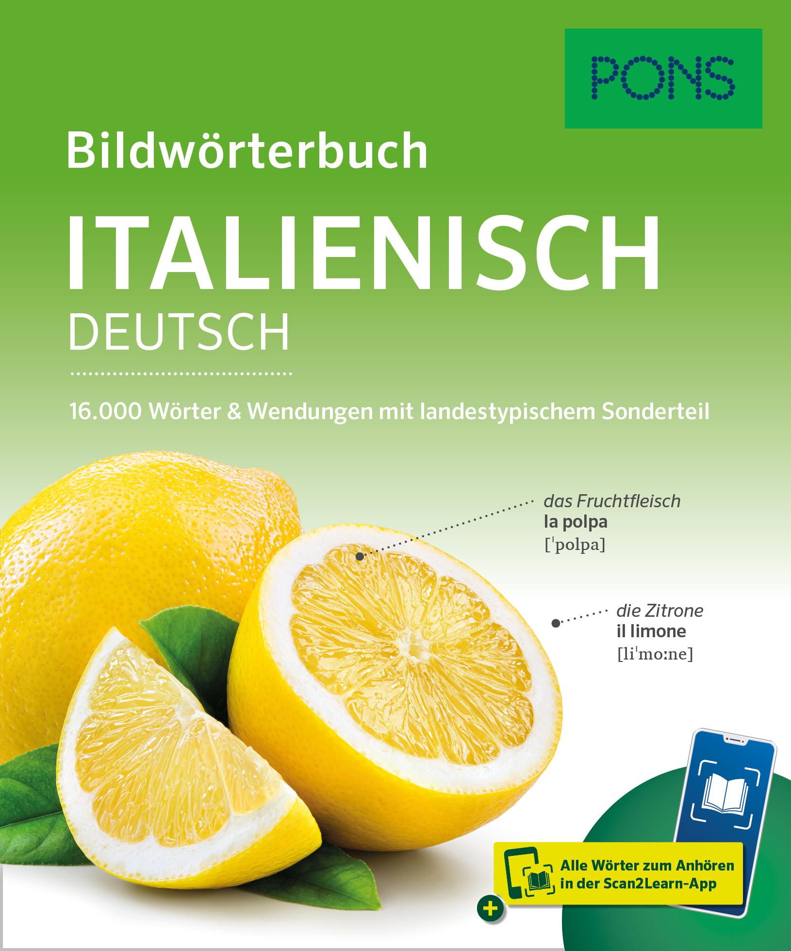 Cover: 9783125164130 | PONS Bildwörterbuch Italienisch | Taschenbuch | PONS Bildwörterbuch