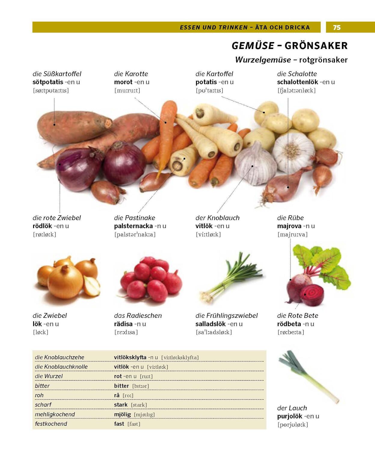 Bild: 9783125163669 | PONS Bildwörterbuch Schwedisch | Taschenbuch | PONS Bildwörterbuch