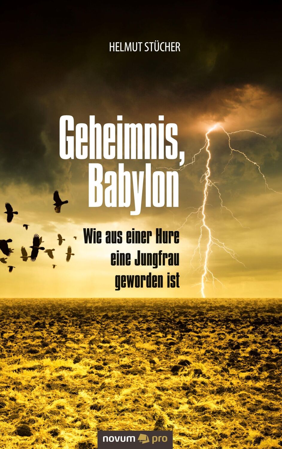 Cover: 9783990386392 | Geheimnis, Babylon - Wie aus einer Hure eine Jungfrau geworden ist