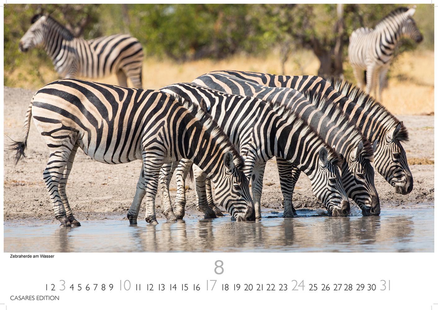 Bild: 9781835240649 | Südafrika 2025 L 35x50cm | Kalender | 14 S. | Deutsch | 2025