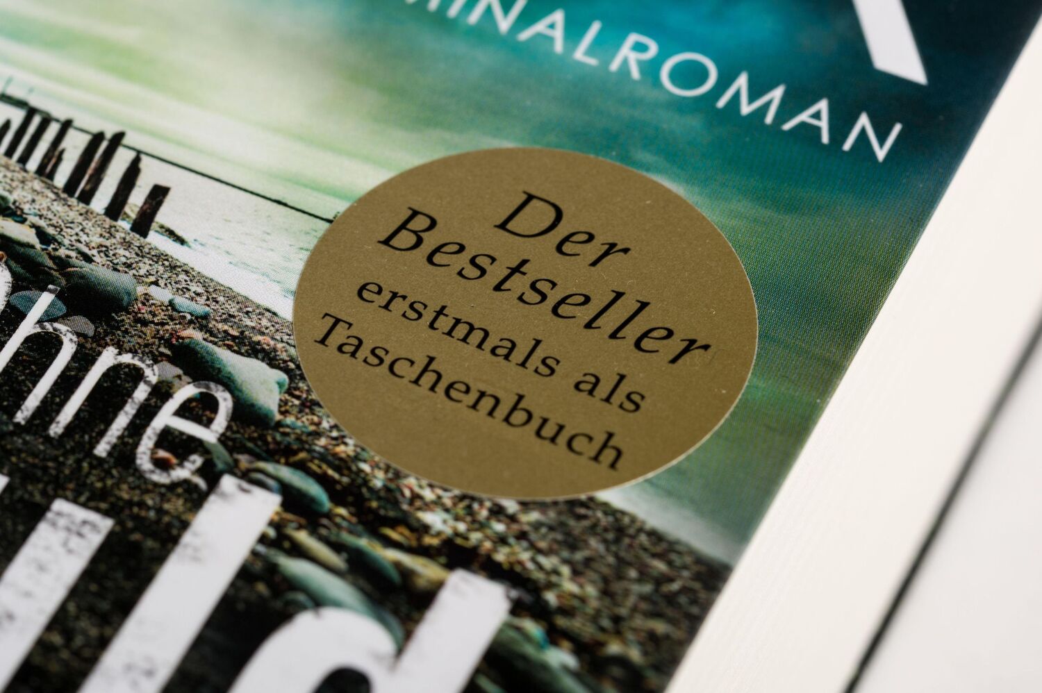 Bild: 9783734109249 | Ohne Schuld | Kriminalroman - Der Bestseller jetzt als Taschenbuch!