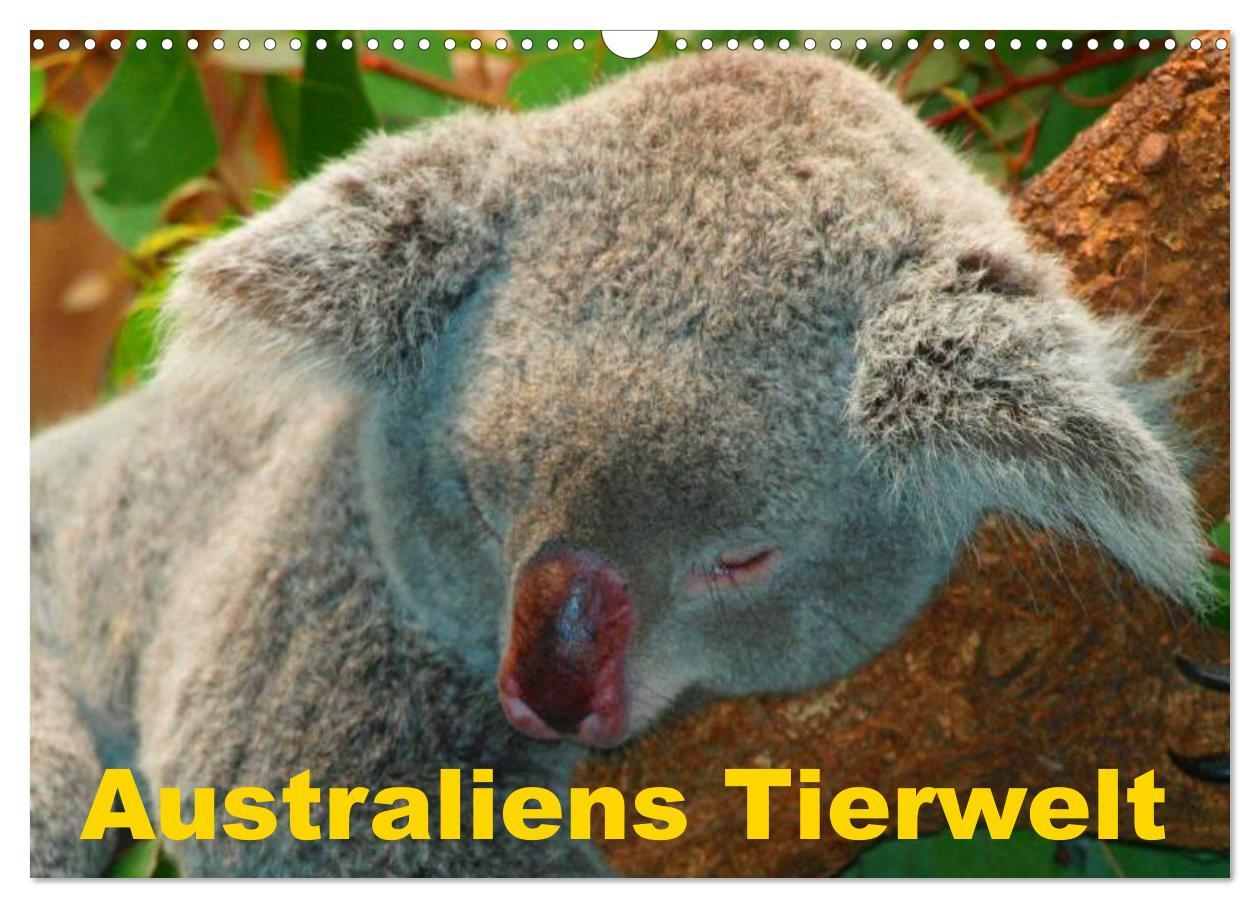 Cover: 9783435725786 | Australiens Tierwelt (Wandkalender 2025 DIN A3 quer), CALVENDO...