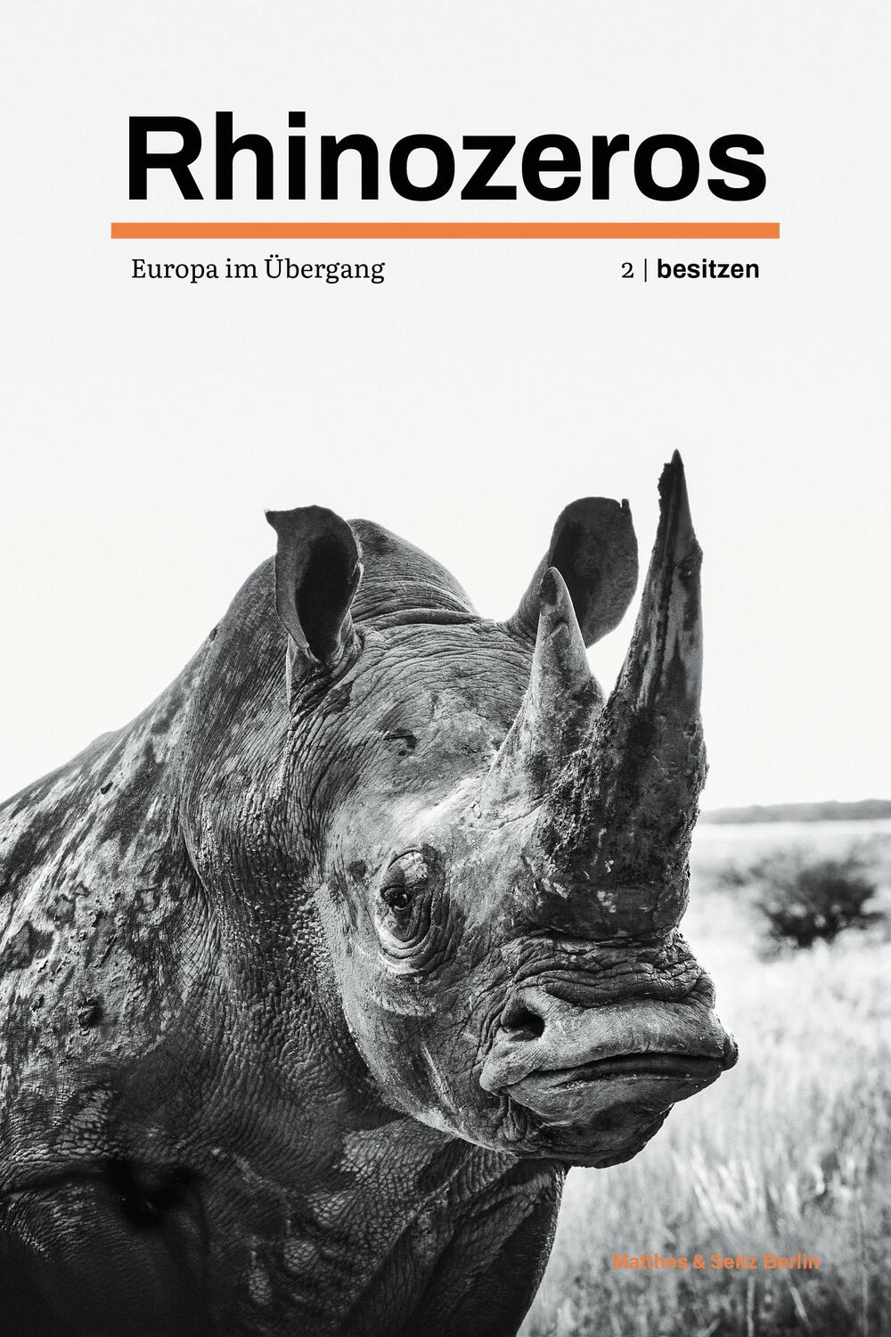 Cover: 9783751807036 | Rhinozeros 2 | Europa im Übergang besitzen 2022 | Messling (u. a.)