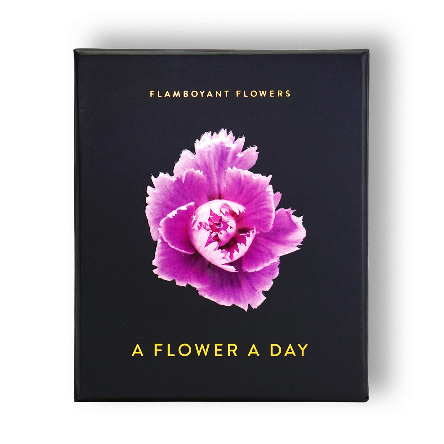 Bild: 9783946688839 | Flamboyant Flowers | A Flower A Day | Nicolas Meriel | Kalender