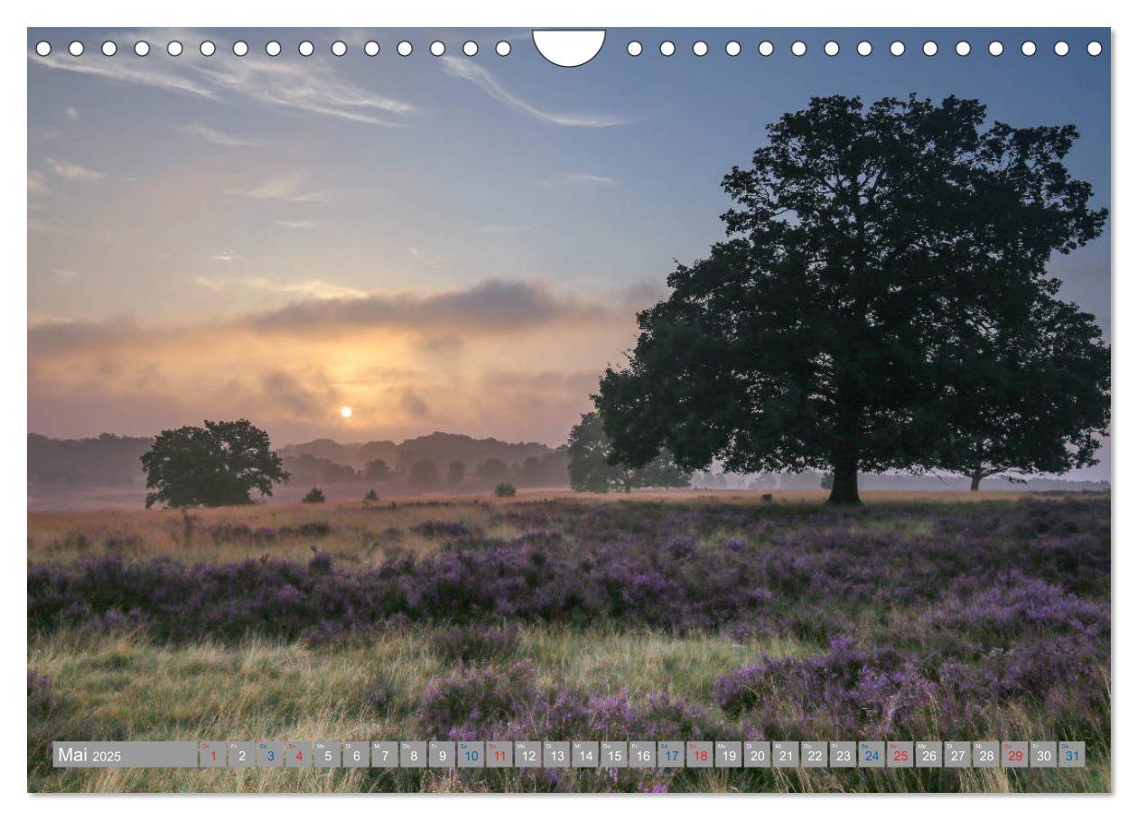 Bild: 9783435458776 | Lüneburger Heide - Faszinierend schön (Wandkalender 2025 DIN A4...