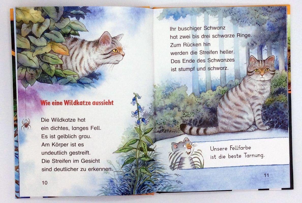 Bild: 9783401715735 | Die Wildkatze | Sachwissen für Erstleser | Friederun Reichenstetter