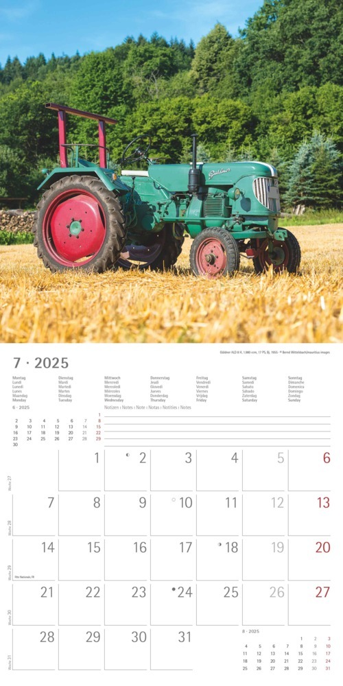 Bild: 4251732343170 | Traktoren Classics 2025 - Broschürenkalender 30x30 cm (30x60...