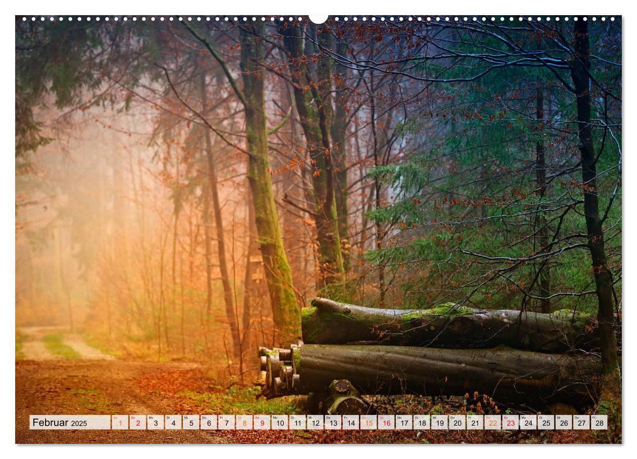 Bild: 9783435071173 | Wald - mystische Spaziergänge (Wandkalender 2025 DIN A2 quer),...