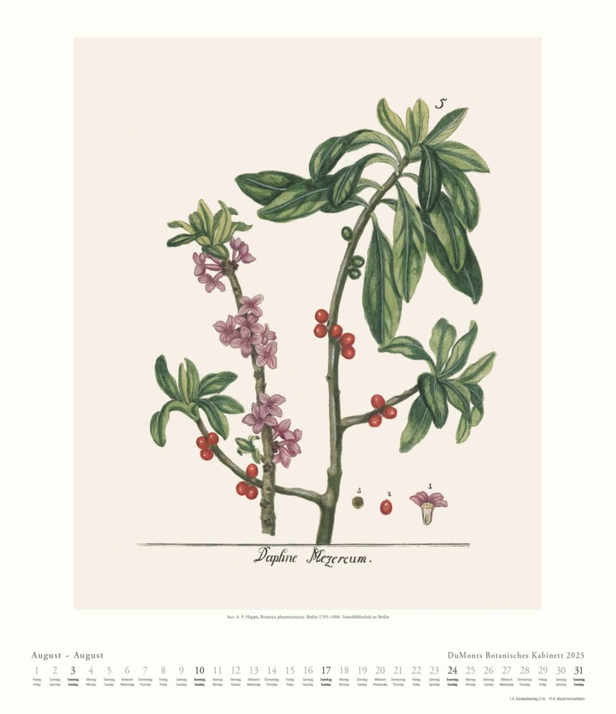 Bild: 4250809652986 | DUMONT - DUMONTS Botanisches Kabinett 2025 Wandkalender, 34,5x40cm,...