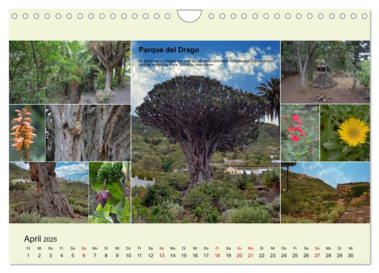 Bild: 9783435006274 | Zauberhaftes Teneriffa (Wandkalender 2025 DIN A4 quer), CALVENDO...