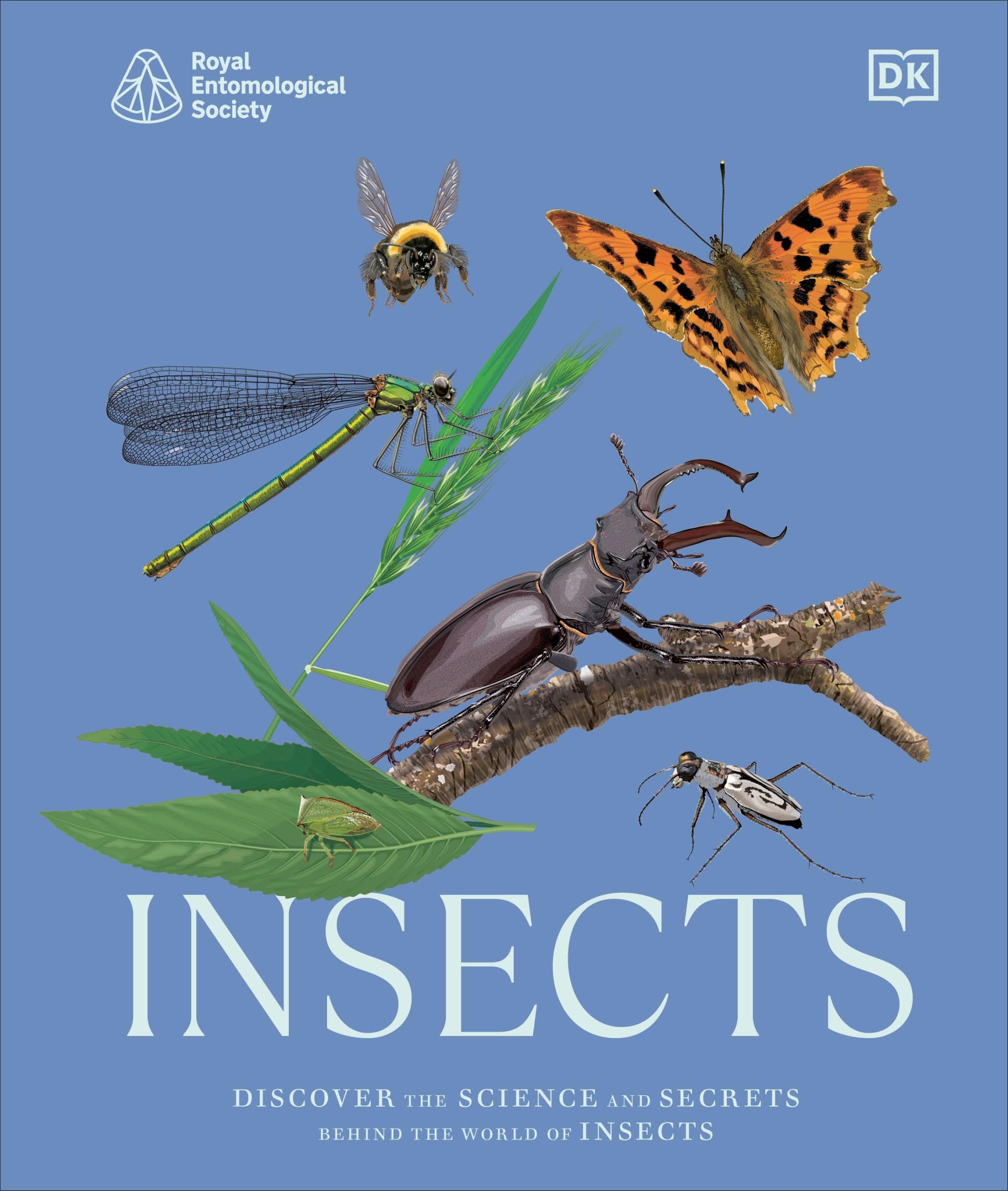 Cover: 9780241685921 | RES Insects | Dk | Buch | Englisch | 2024 | Dorling Kindersley Ltd