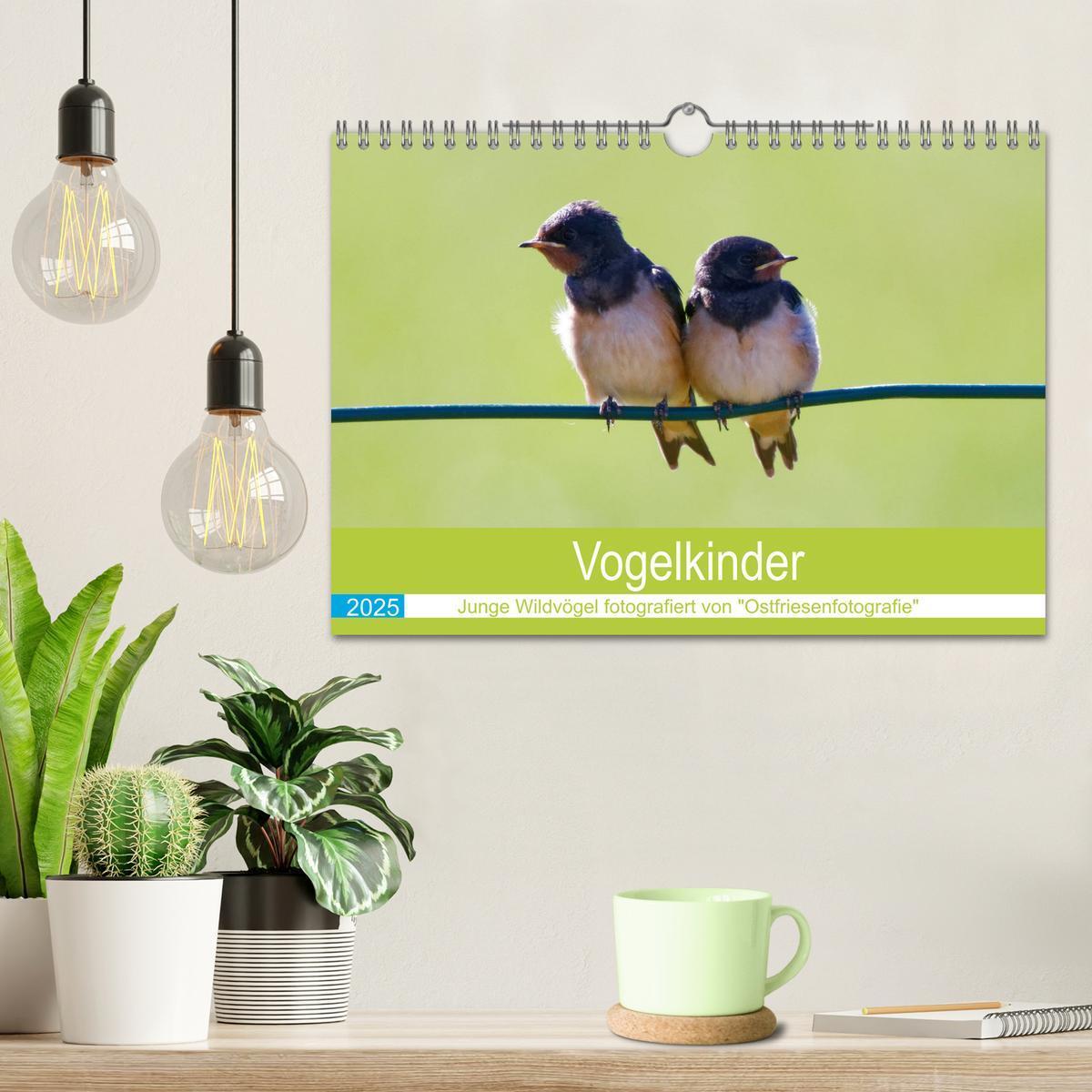 Bild: 9783435029310 | Vogelkinder - Junge Wildvögel (Wandkalender 2025 DIN A4 quer),...