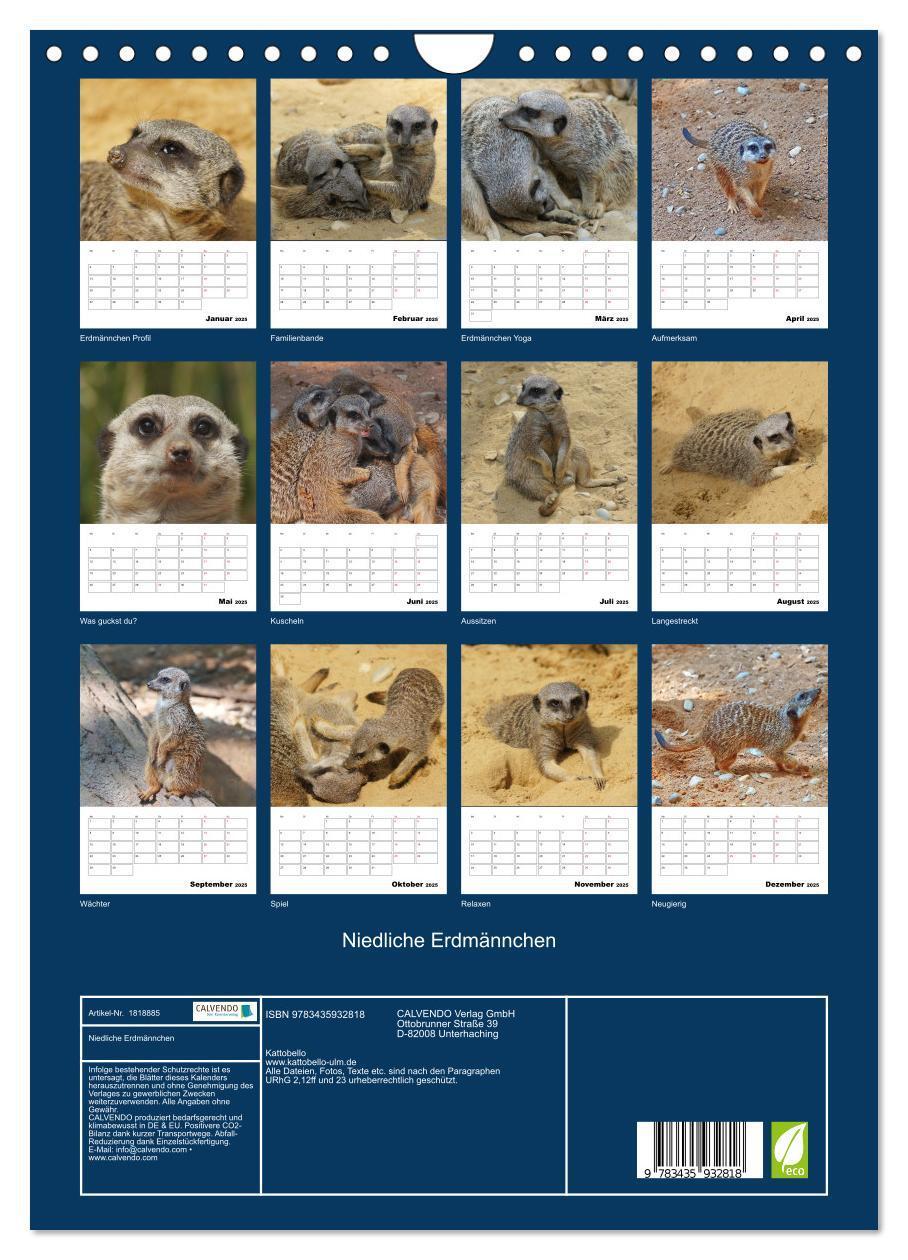 Bild: 9783435932818 | Niedliche Erdmännchen (Wandkalender 2025 DIN A4 hoch), CALVENDO...