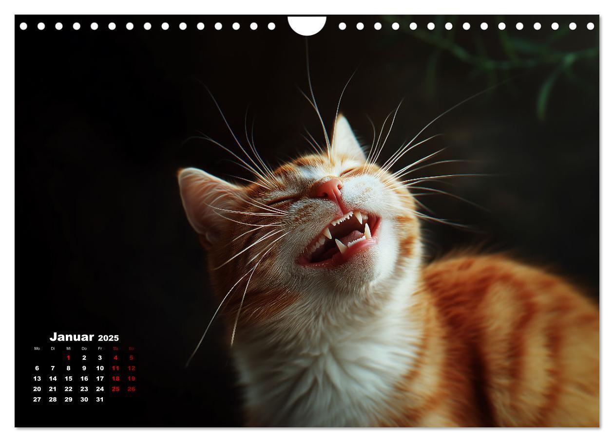 Bild: 9783457201985 | Auch Katzen lachen gern (Wandkalender 2025 DIN A4 quer), CALVENDO...