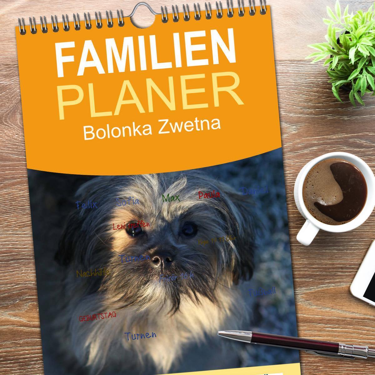 Bild: 9783457111772 | Familienplaner 2025 - Bolonka Zwetna mit 5 Spalten (Wandkalender,...