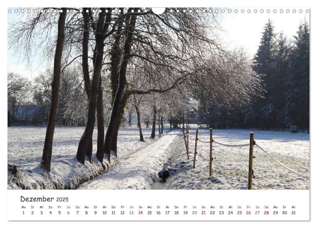 Bild: 9783435078431 | Zauberhaftes Ammerland (Wandkalender 2025 DIN A3 quer), CALVENDO...