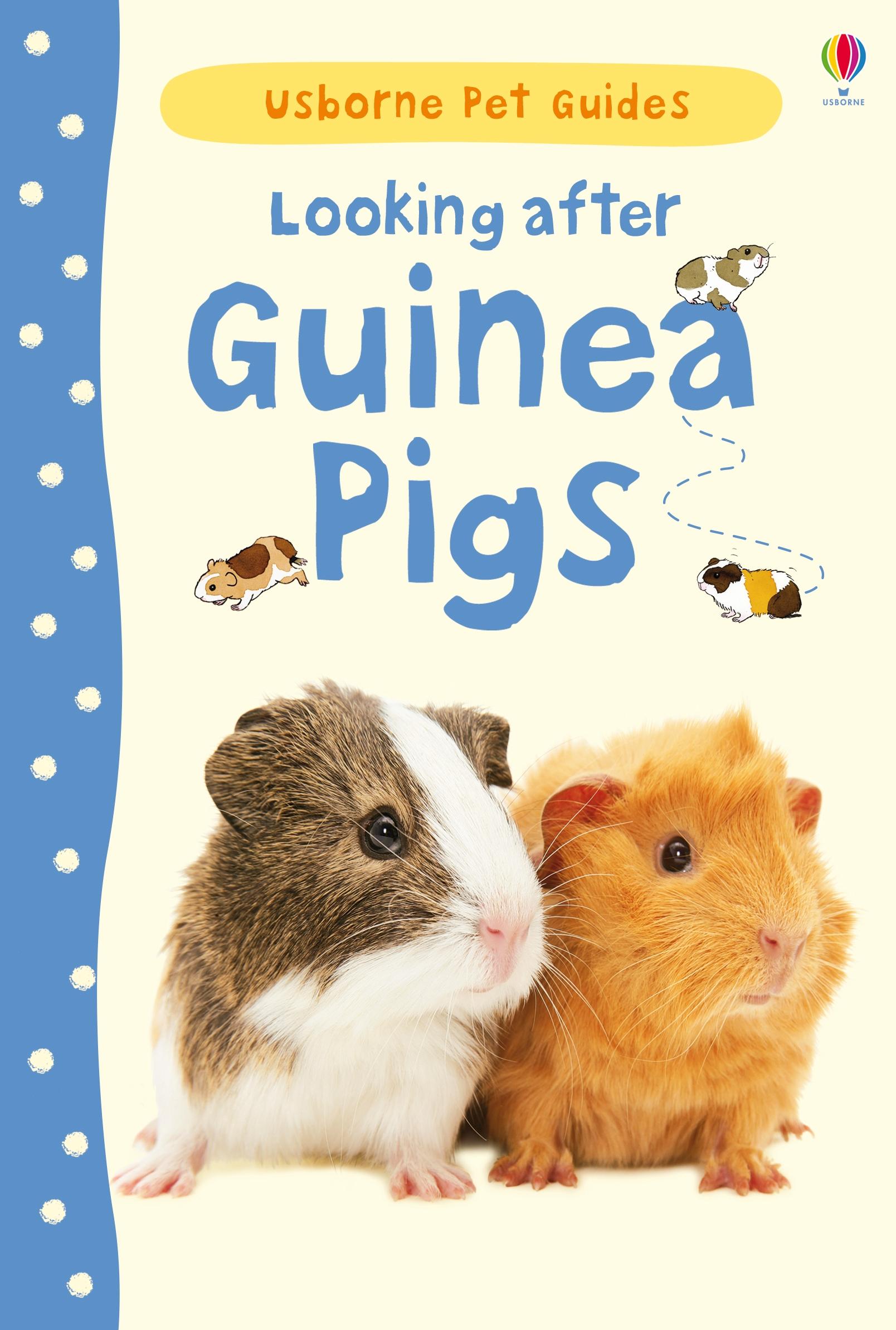 Cover: 9781409561880 | Looking after Guinea Pigs | Laura Howell | Buch | Gebunden | Englisch