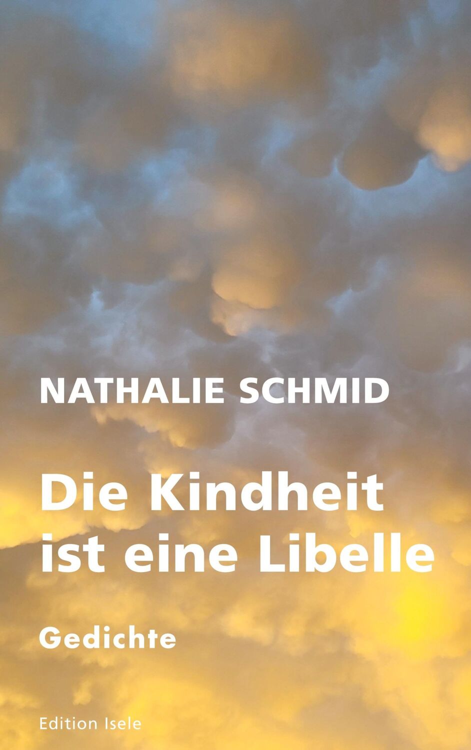 Cover: 9783861426479 | Die Kindheit ist eine Libelle | Nathalie Schmid | Buch | Deutsch