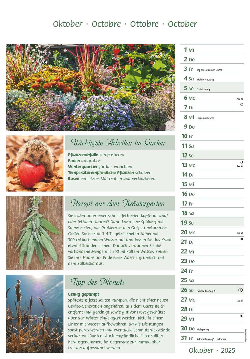 Bild: 4251732341077 | Das Gartenjahr 2025 - Bildkalender 23,7x34 cm - mit saisonalen...