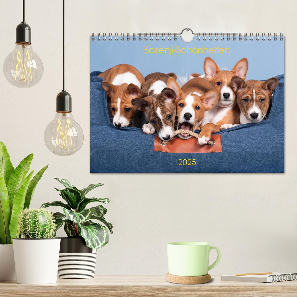 Bild: 9783383845758 | Basenji-Schönheiten (Wandkalender 2025 DIN A4 quer), CALVENDO...