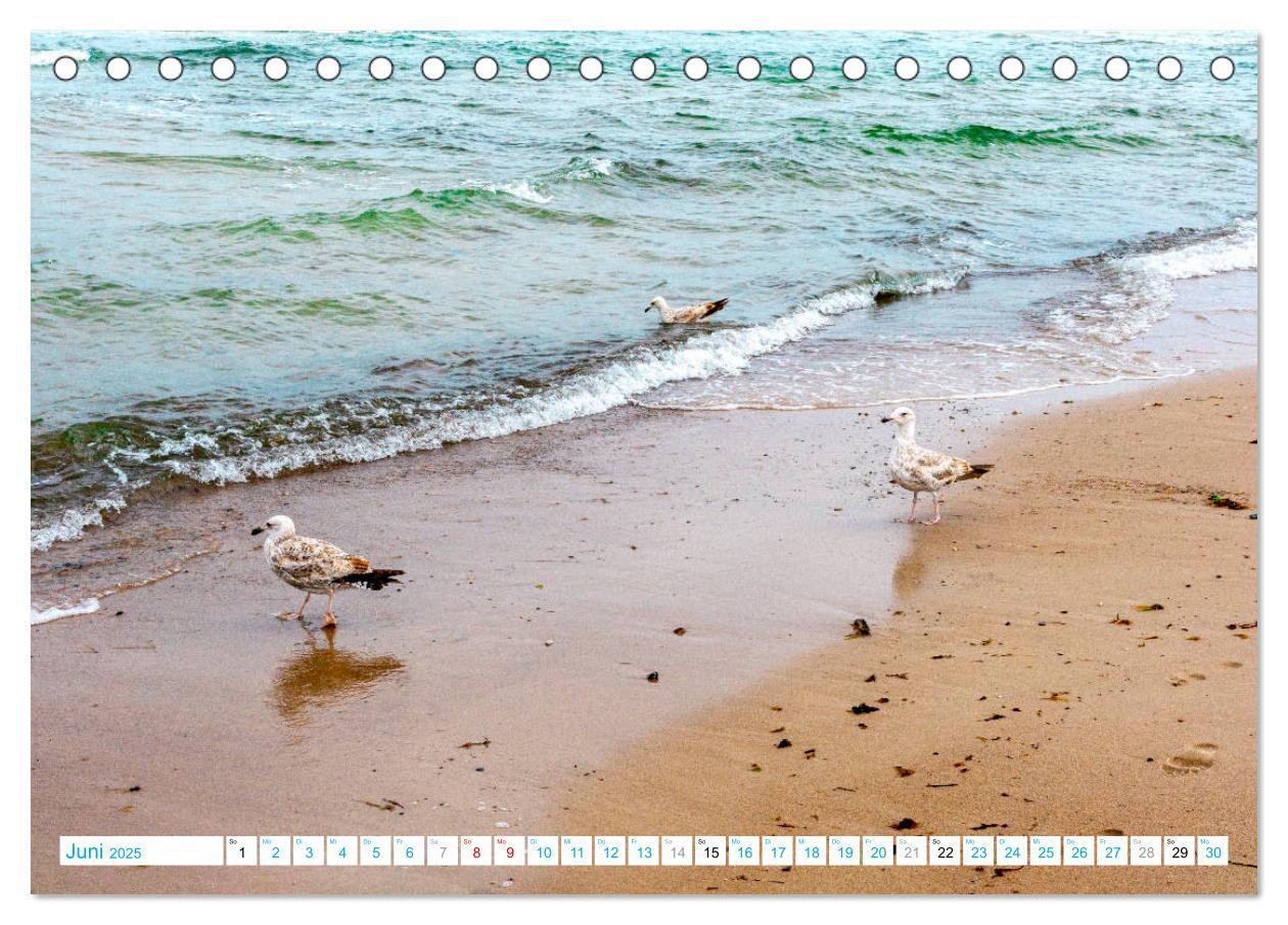 Bild: 9783435227297 | Warnemünde - Sommer, Sonne und Sand im Schuh (Tischkalender 2025...