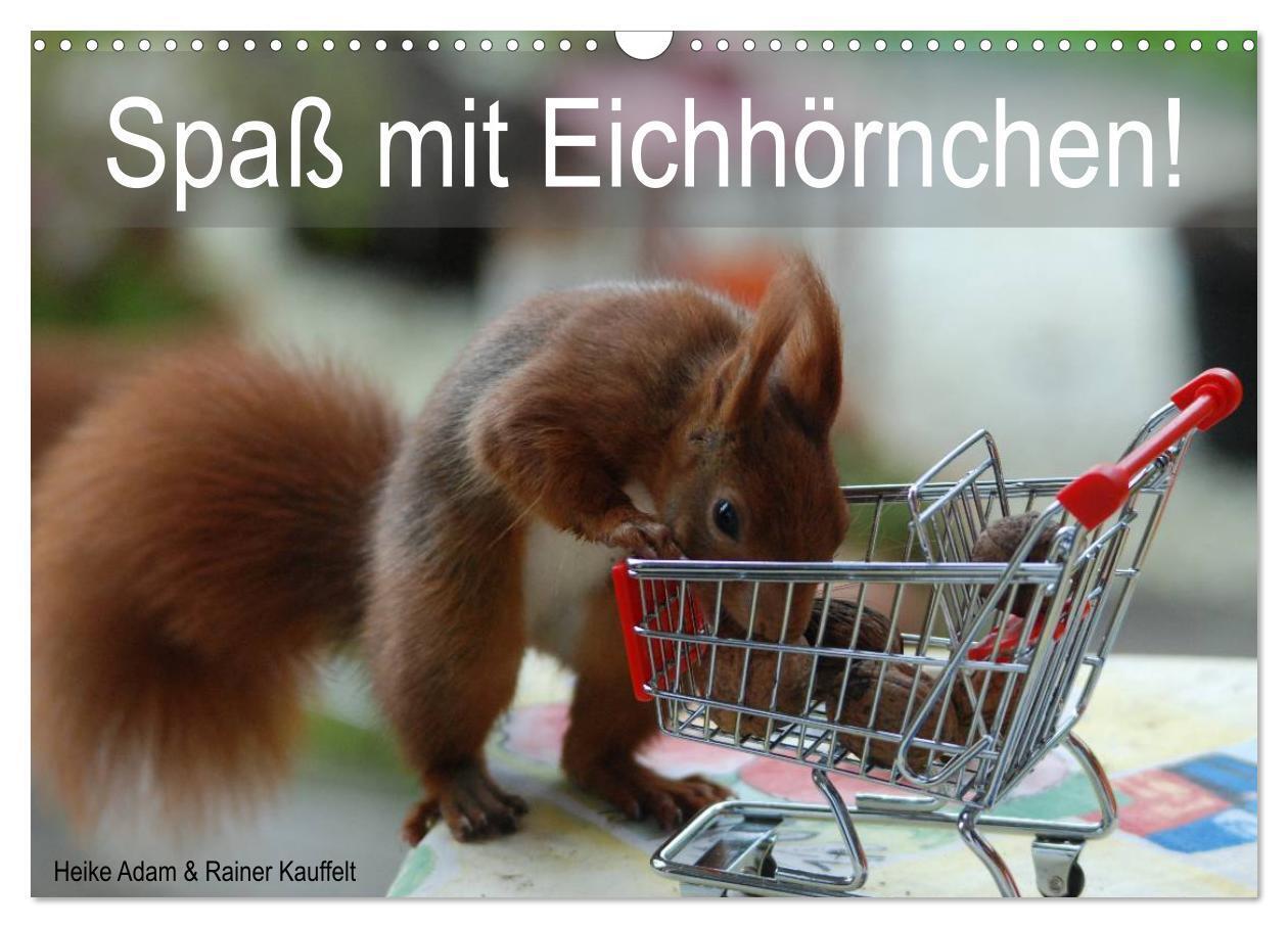 Cover: 9783435586936 | Spaß mit Eichhörnchen! (Wandkalender 2025 DIN A3 quer), CALVENDO...