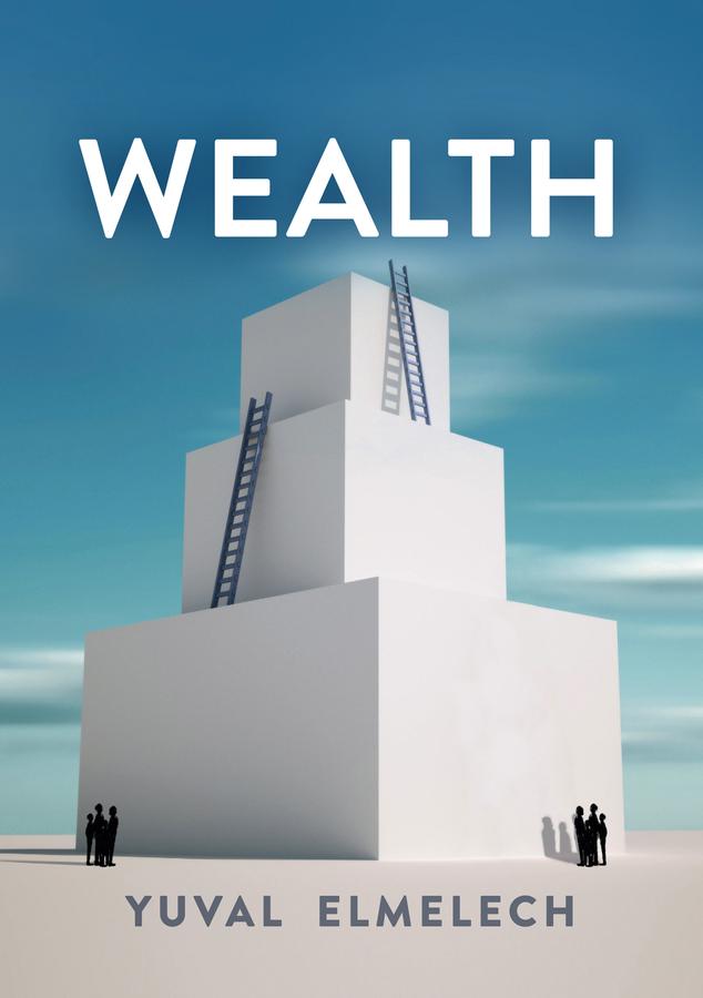 Cover: 9780745697871 | Wealth | Yuval Elmelech | Taschenbuch | 200 S. | Englisch | 2021