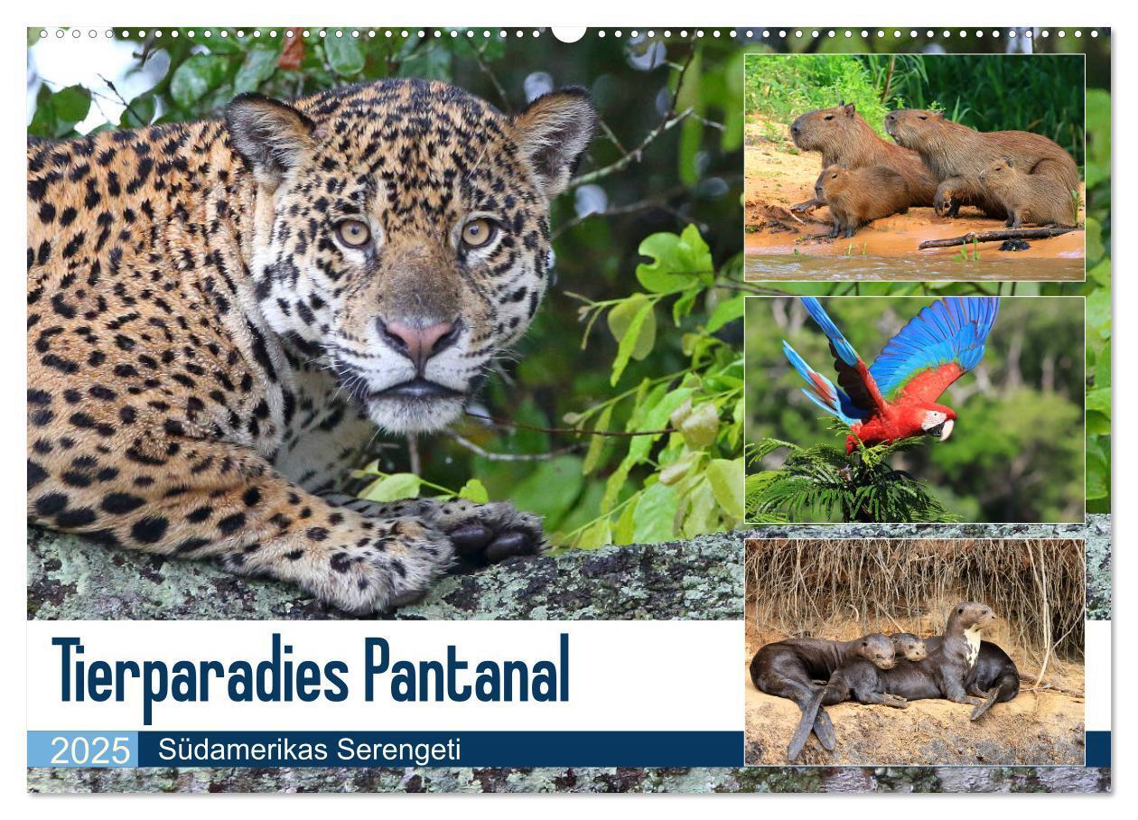 Cover: 9783435262519 | Tierparadies Pantanal (Wandkalender 2025 DIN A2 quer), CALVENDO...