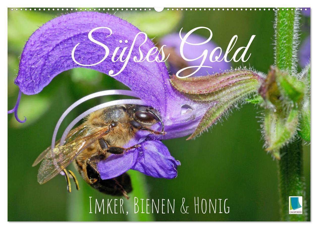 Cover: 9783383886270 | Süßes Gold: Imker, Bienen &amp; Honig (Wandkalender 2025 DIN A2 quer),...