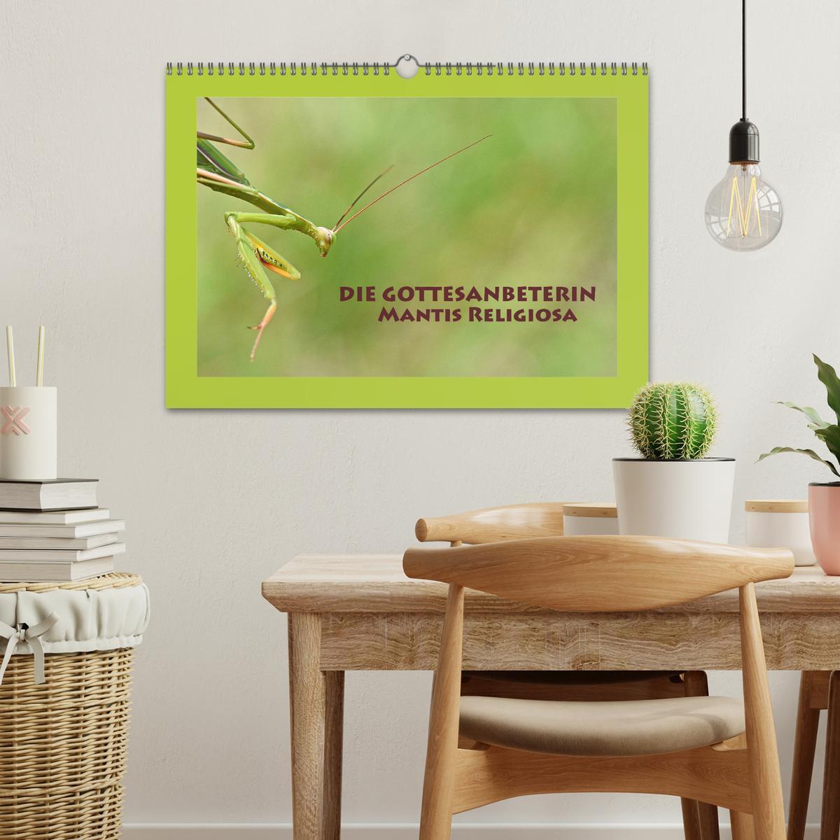 Bild: 9783435150380 | Die Gottesanbeterin Mantis Religiosa (Wandkalender 2025 DIN A3...