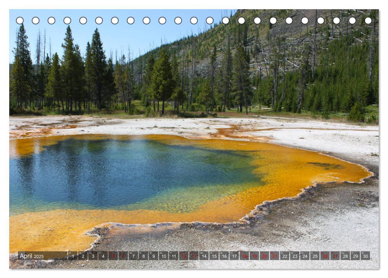 Bild: 9783435385836 | Farben des Yellowstone National Park 2025 (Tischkalender 2025 DIN...