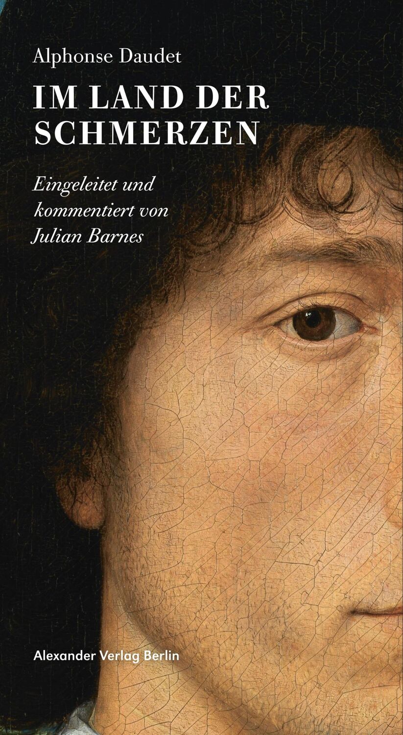 Cover: 9783895815713 | Im Land der Schmerzen | Eingeleitet und kommentiert von Julian Barnes