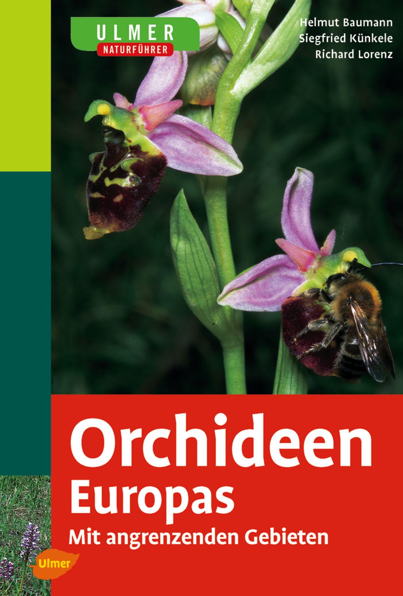 Cover: 9783800141623 | Ulmer Naturführer Orchideen Europas | Mit angrenzenden Gebieten | Buch