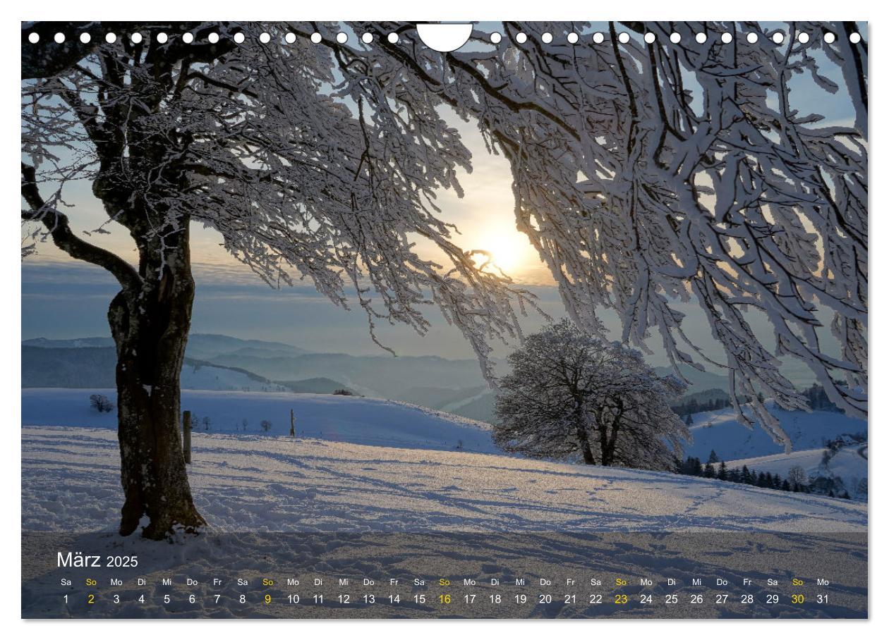 Bild: 9783457235409 | Faszination Schwarzwald (Wandkalender 2025 DIN A4 quer), CALVENDO...