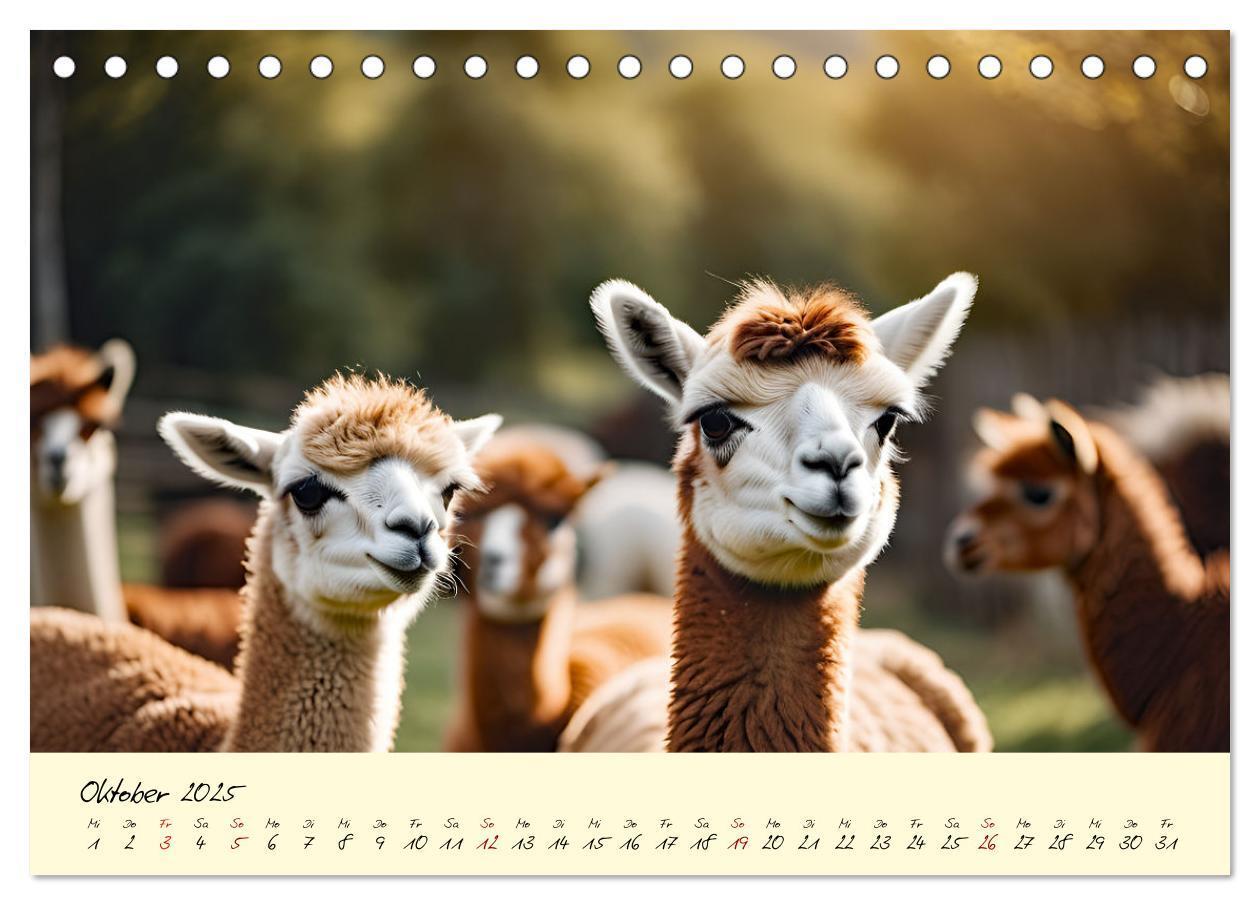 Bild: 9783457189641 | Alpakas, die sanften Andenbewohner (Tischkalender 2025 DIN A5...