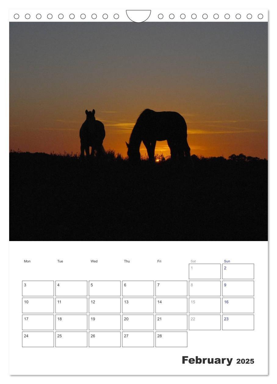 Bild: 9781325973057 | Shire Horses The Gentle Giants (Wall Calendar 2025 DIN A4...