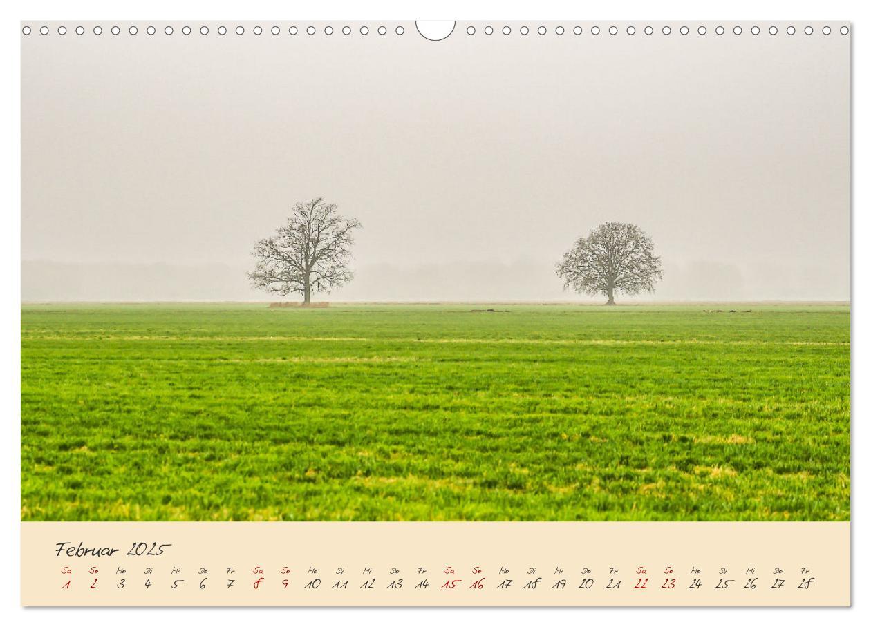 Bild: 9783383982484 | Friedländer Große Wiese (Wandkalender 2025 DIN A3 quer), CALVENDO...