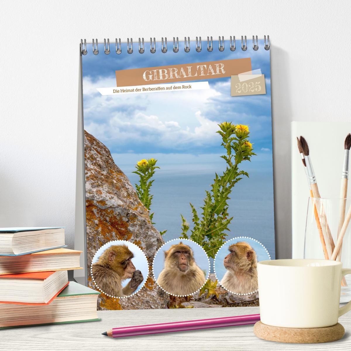 Bild: 9783383781292 | Gibraltar - Die Heimat der Berberaffen auf dem Rock (Tischkalender...