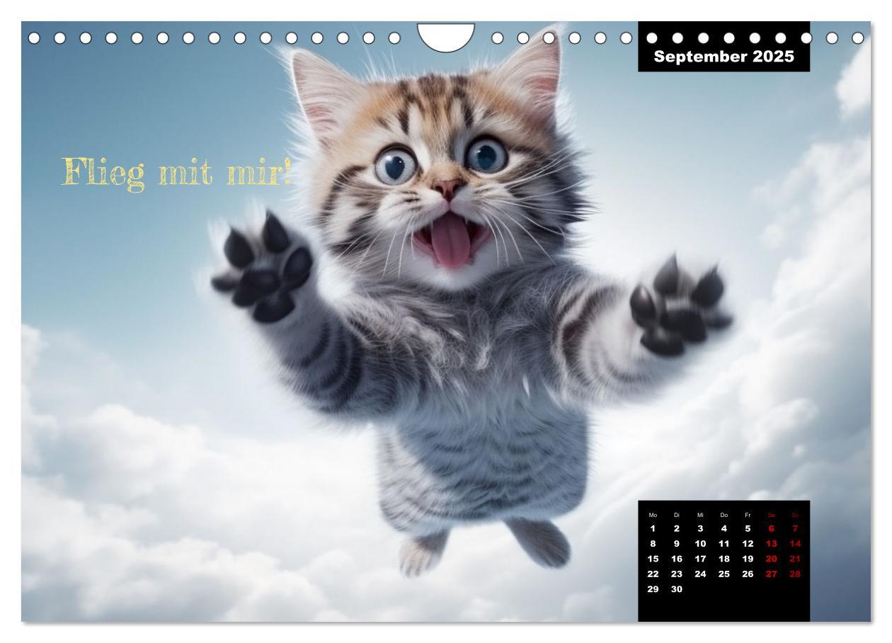 Bild: 9783383834912 | Katzen können alles, außer traurig. (Wandkalender 2025 DIN A4...