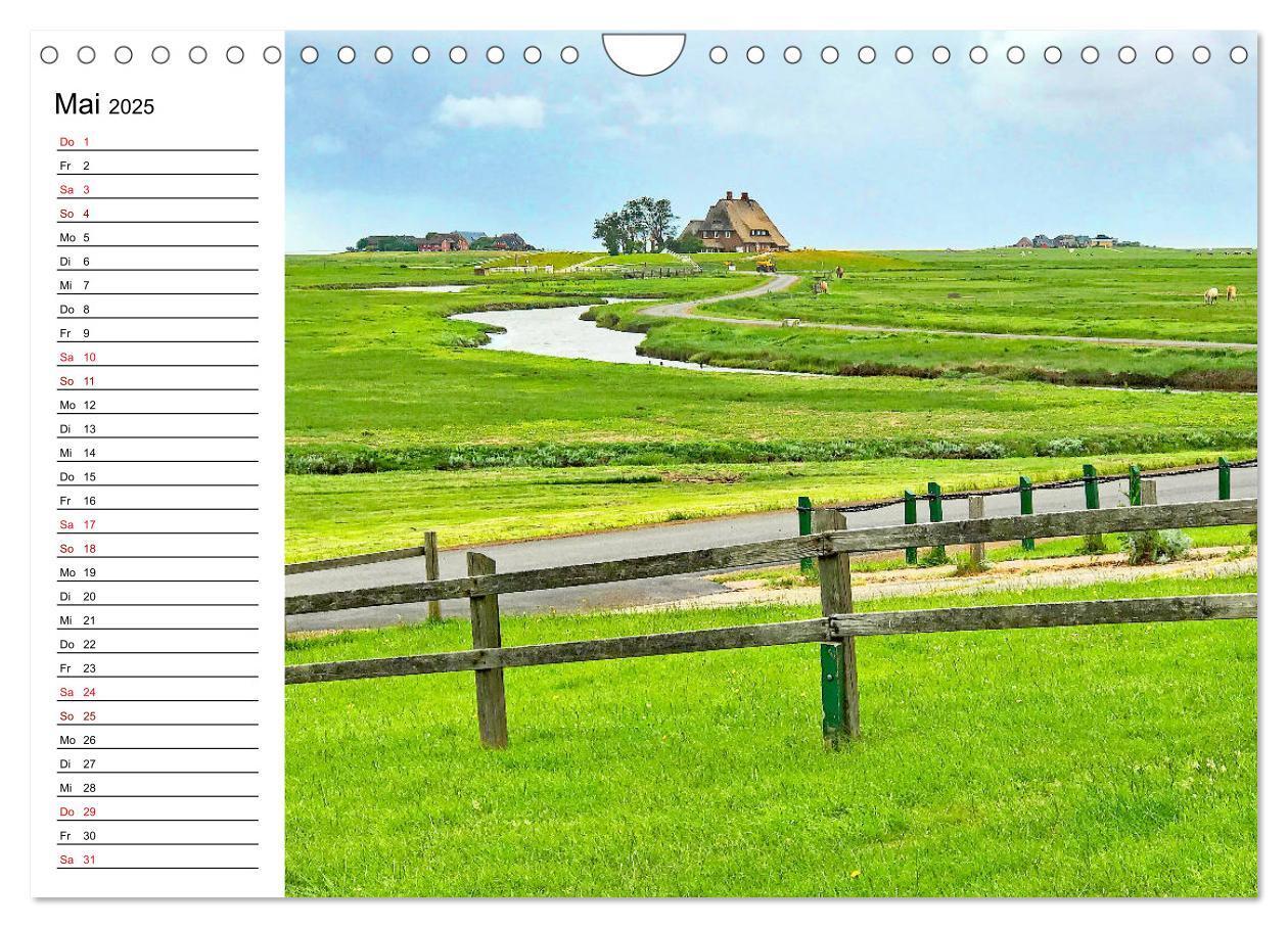 Bild: 9783435115648 | Hallig Hooge - Romantik Pur (Wandkalender 2025 DIN A4 quer),...