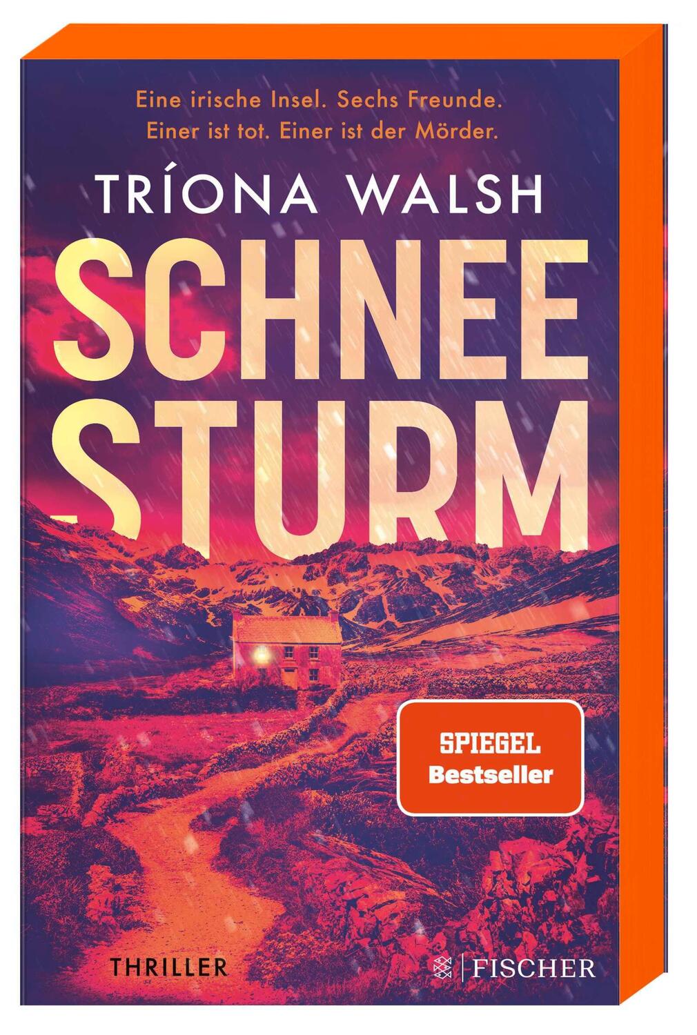 Cover: 9783596708994 | Schneesturm | Tríona Walsh | Taschenbuch | 384 S. | Deutsch | 2023