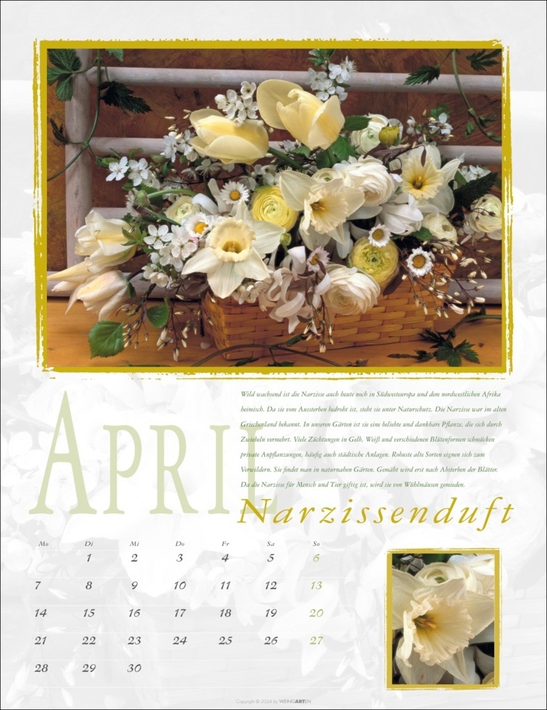 Bild: 9783839901373 | Duftkalender 2025 | Rita Bellmann | Kalender | Spiralbindung | 14 S.