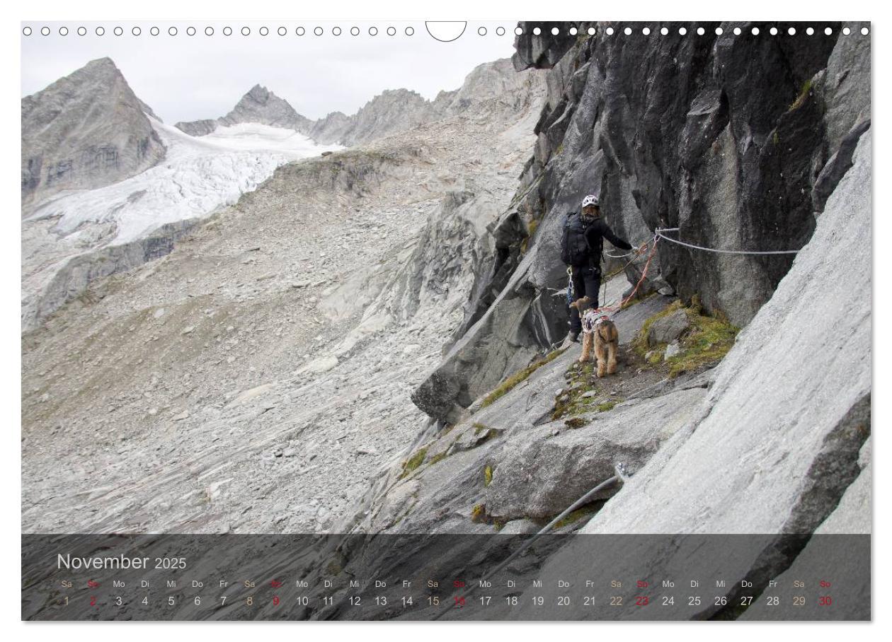 Bild: 9783435559176 | Der Bergdale - mit Hund im Hochgebirge (Wandkalender 2025 DIN A3...