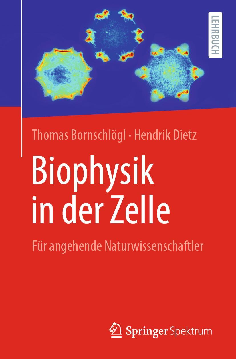 Cover: 9783662616086 | Biophysik in der Zelle | Für Studierende der Naturwissenschaften | x