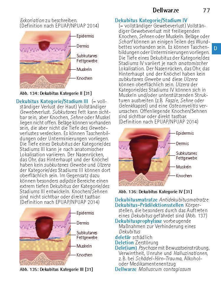 Bild: 9783898628365 | Wörterbuch Medizin pocket : Kleines Lexikon - medizinische...